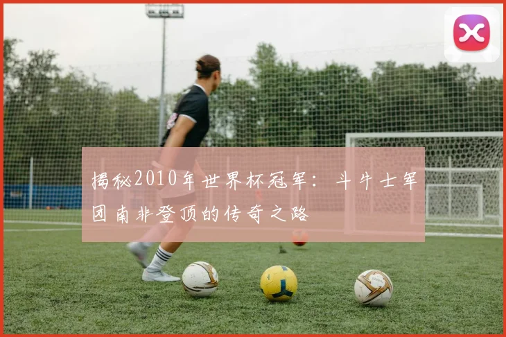 揭秘2010年世界杯冠军：斗牛士军团南非登顶的传奇之路