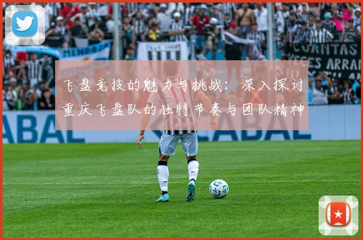 飞盘竞技的魅力与挑战：深入探讨重庆飞盘队的独特节奏与团队精神
