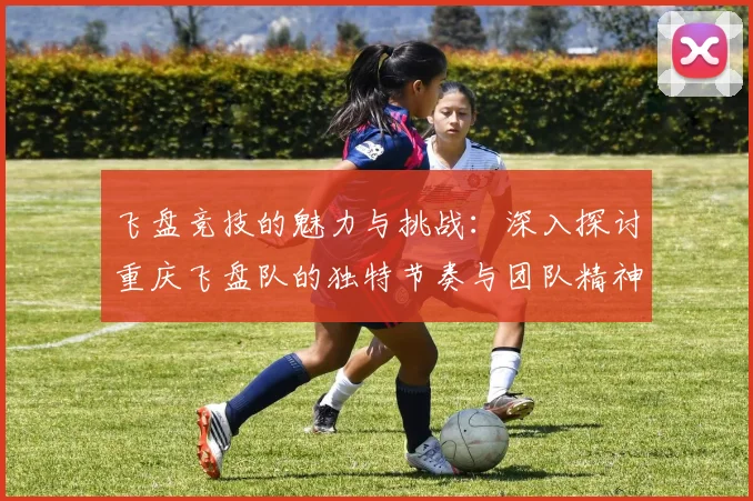 飞盘竞技的魅力与挑战：深入探讨重庆飞盘队的独特节奏与团队精神