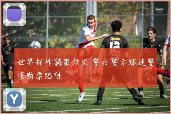 世界杯诈骗案频发 警方警示球迷警惕购票陷阱