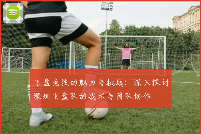 飞盘竞技的魅力与挑战：深入探讨深圳飞盘队的战术与团队协作