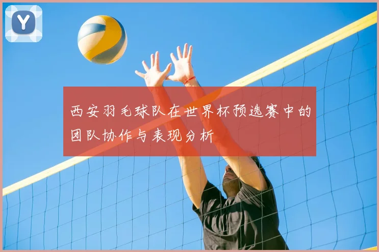 西安羽毛球队在世界杯预选赛中的团队协作与表现分析