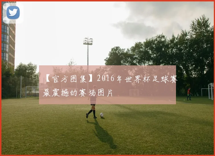【官方图集】2016年世界杯足球赛最震撼的赛场图片
