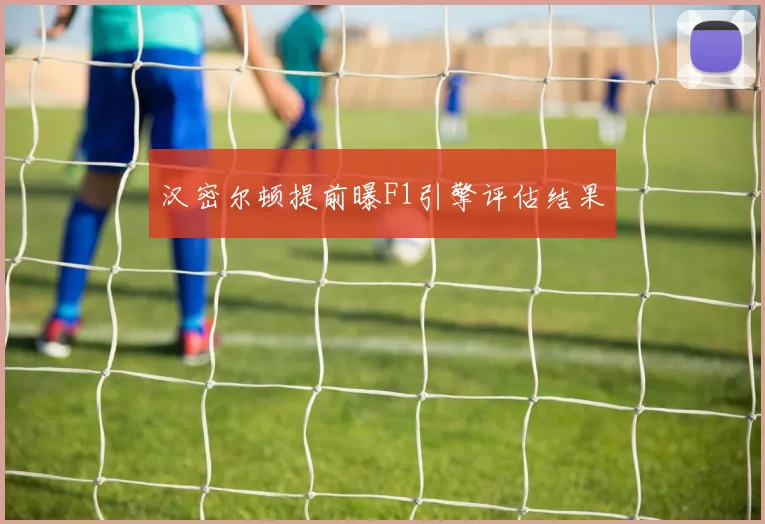 汉密尔顿提前曝F1引擎评估结果
